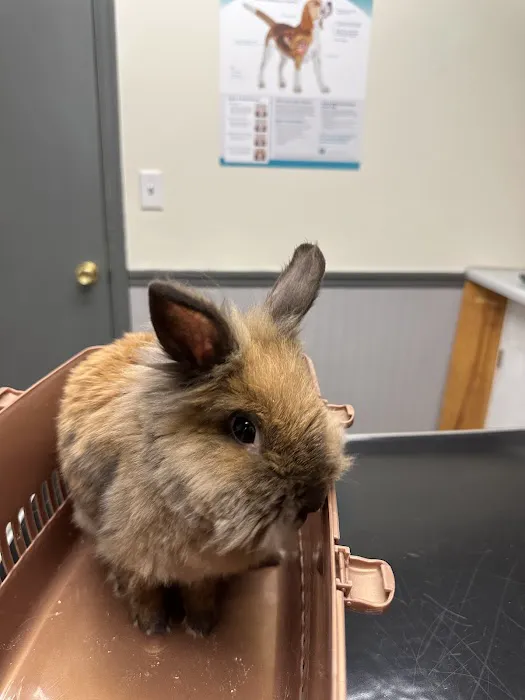 Fayetteville Veterinary Hospital 2