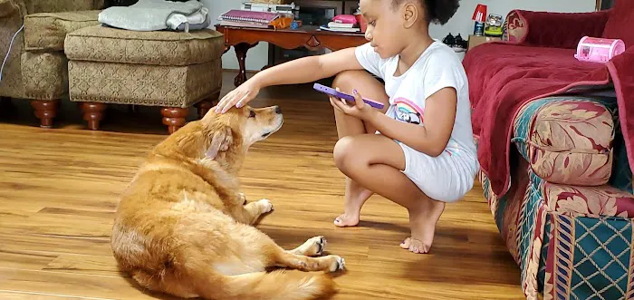 Upstate Veterinary Surgical Center 8