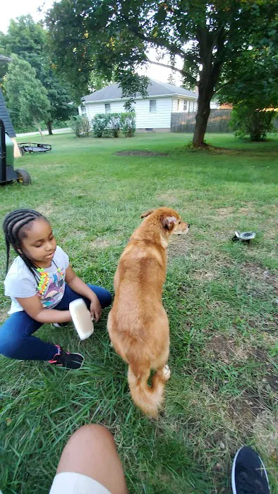 Upstate Veterinary Surgical Center 7