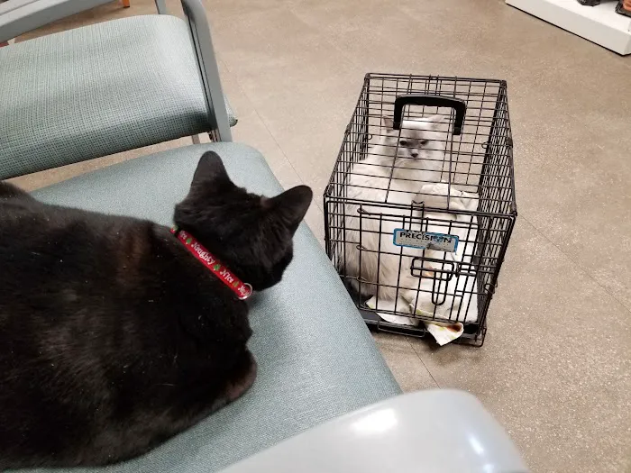 Stack Hospital For Pets 6