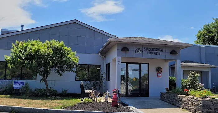Stack Hospital For Pets 10