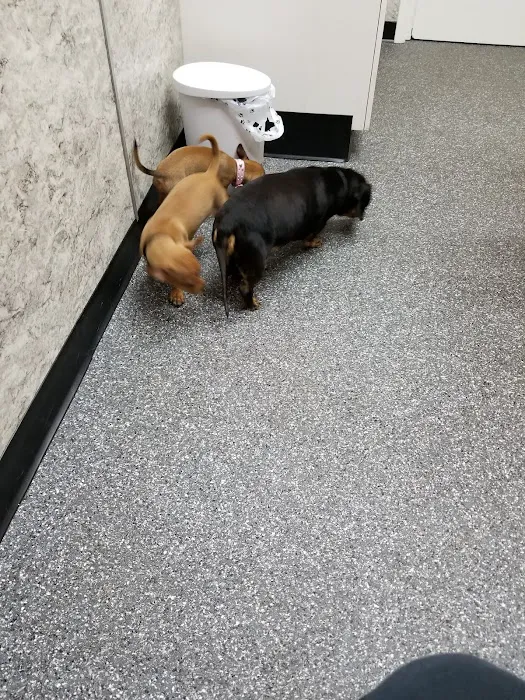 Rome Animal Hospital 7