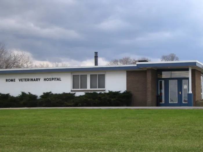 Rome Animal Hospital 9