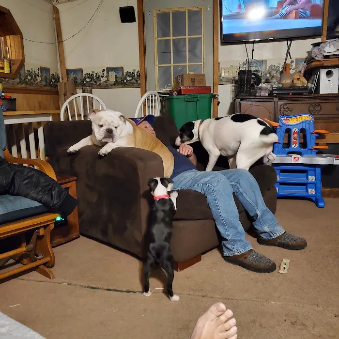 Happy Valley Animal Hospital 4