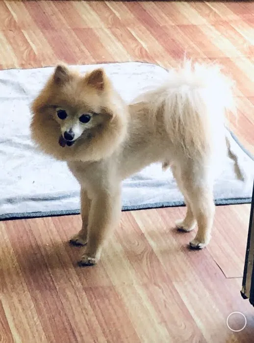 Happy Valley Animal Hospital 1
