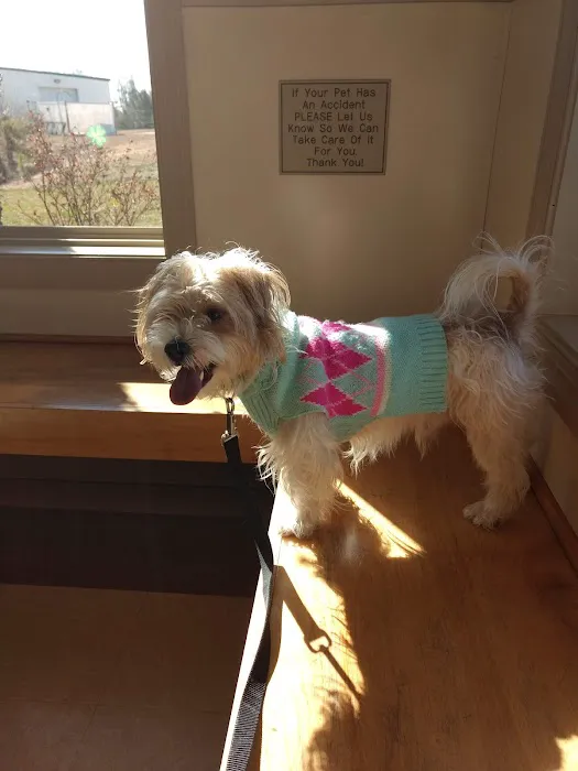 Creekside Animal Hospital 4