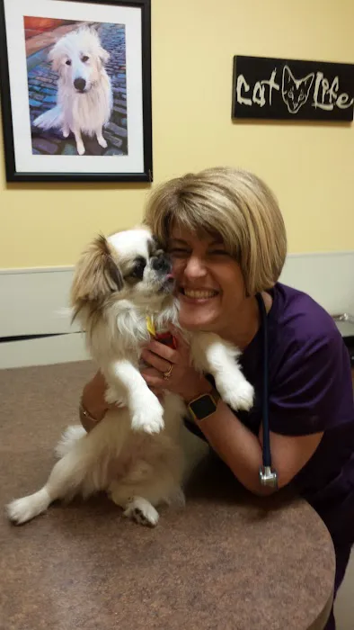 Creekside Animal Hospital 6