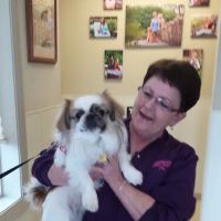 Creekside Animal Hospital ico