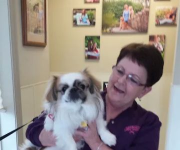 Creekside Animal Hospital