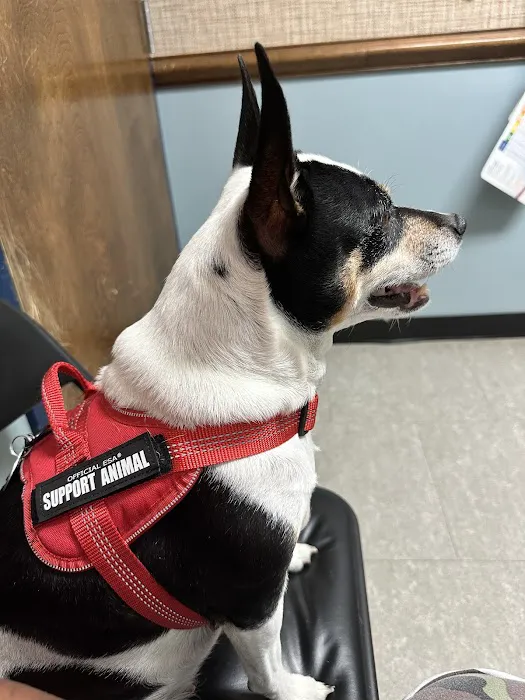 Roanoke Animal Hospital 7