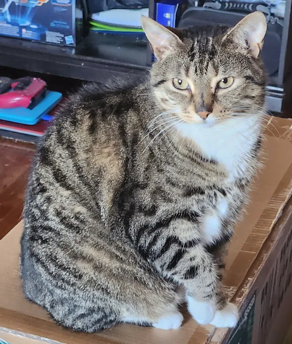 Roanoke Animal Hospital 8
