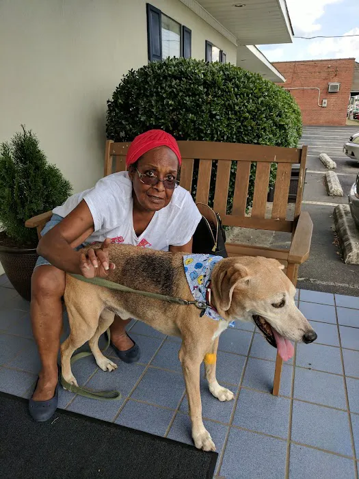 Roanoke Animal Hospital 9