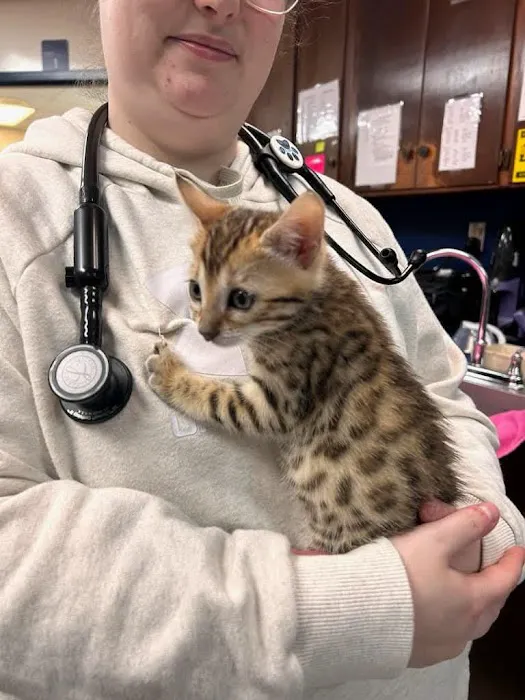 Roanoke Animal Hospital 2