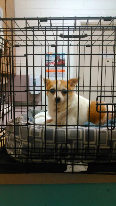 Lunenburg Animal Hospital 7