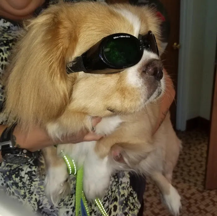 Jacksonville Veterinary Hospital 6