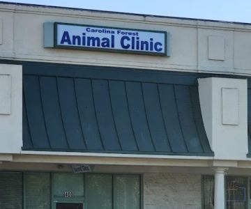 Carolina Forest Animal Clinic