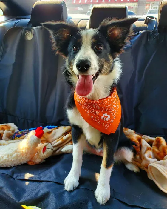 Banfield Pet Hospital 7