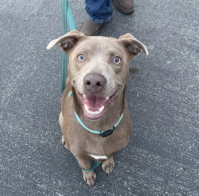 Banfield Pet Hospital 10
