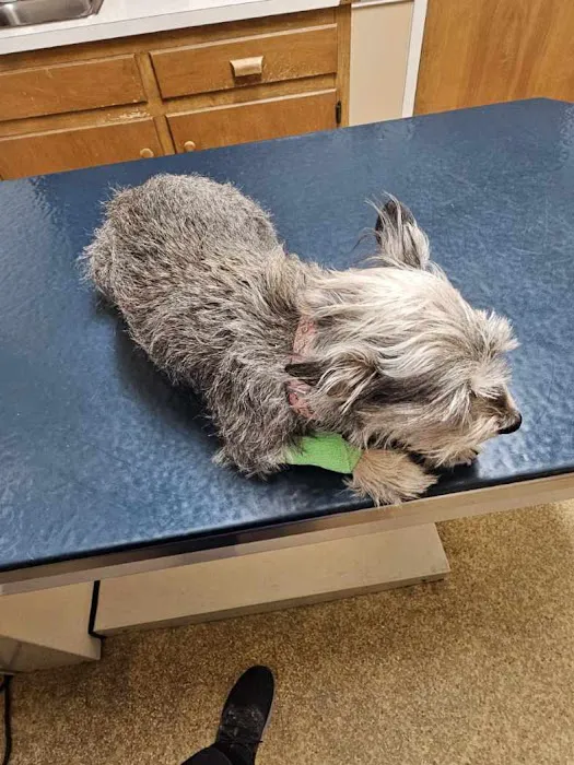Onslow Animal Hospital 9