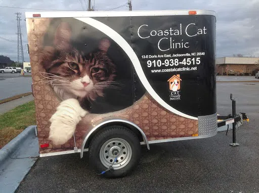 Coastal Cat Clinic 7