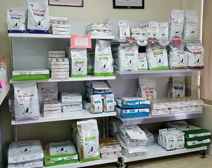 Coastal Cat Clinic 4