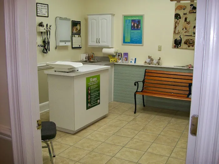 Coastal Cat Clinic 1