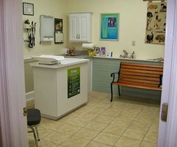 Coastal Cat Clinic