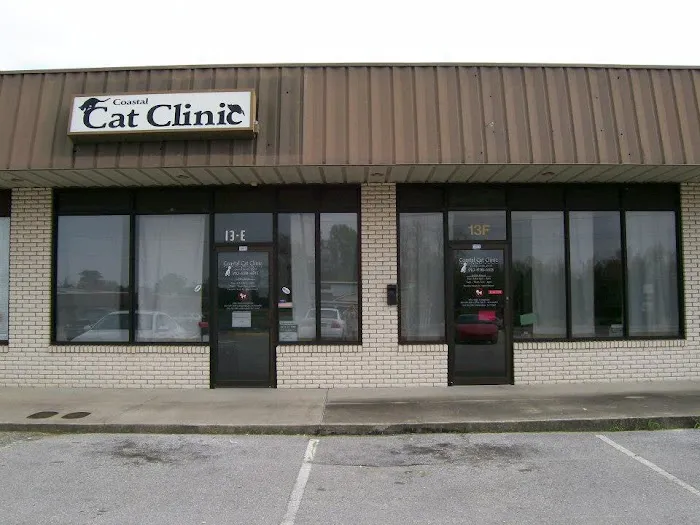 Coastal Cat Clinic 2
