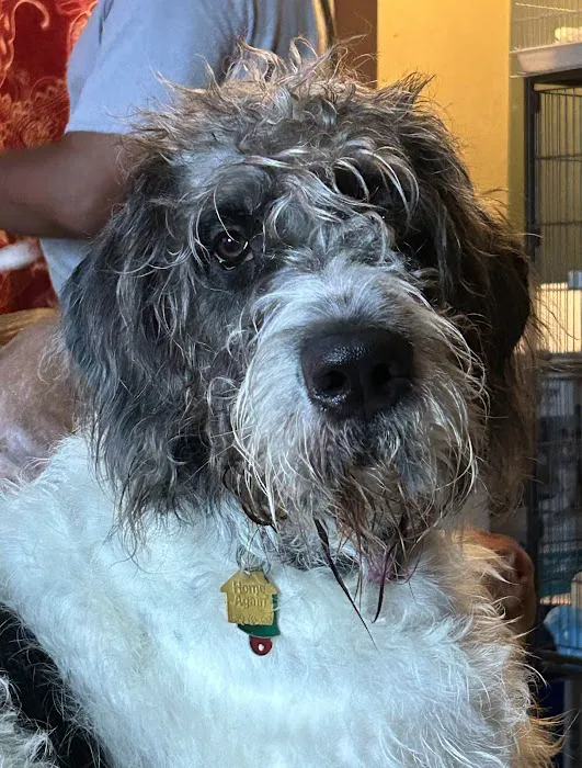 Banfield Pet Hospital 1