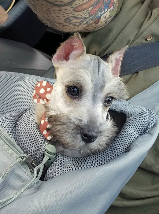 Banfield Pet Hospital 9