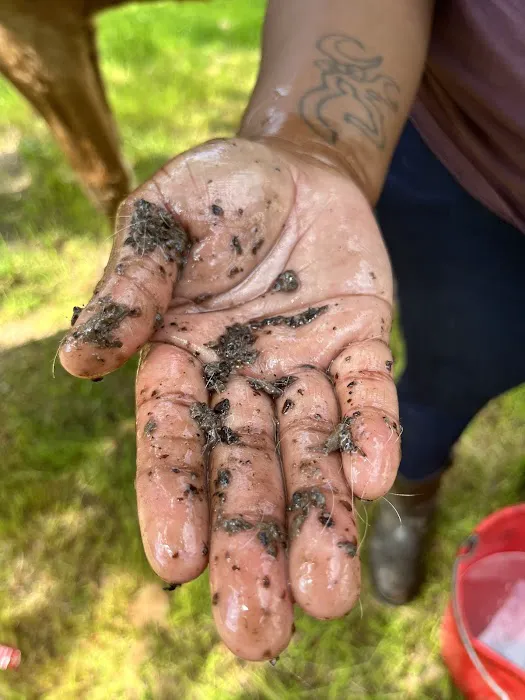 The Winky Washers LLC 1