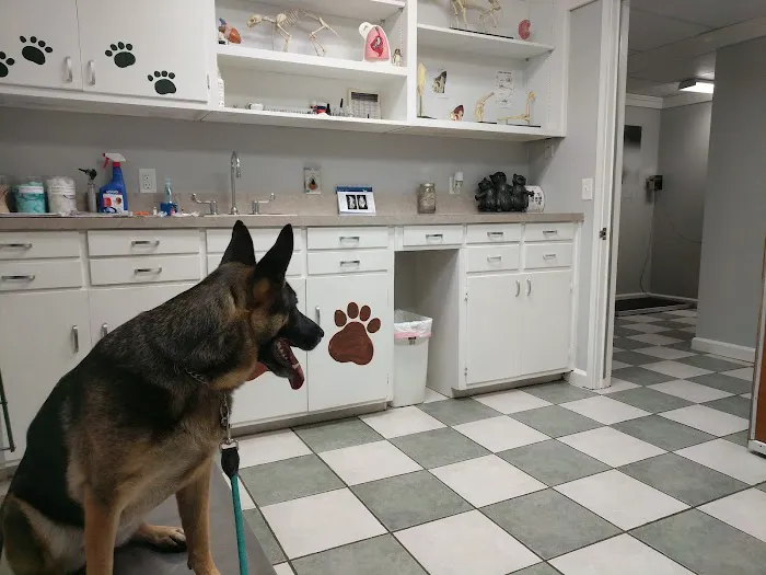 Waylin Animal Clinic 5