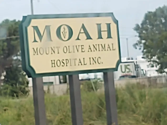 Mt Olive Animal Hospital 7