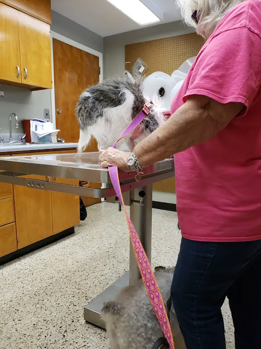 Caring Hands Animal Hospital 1
