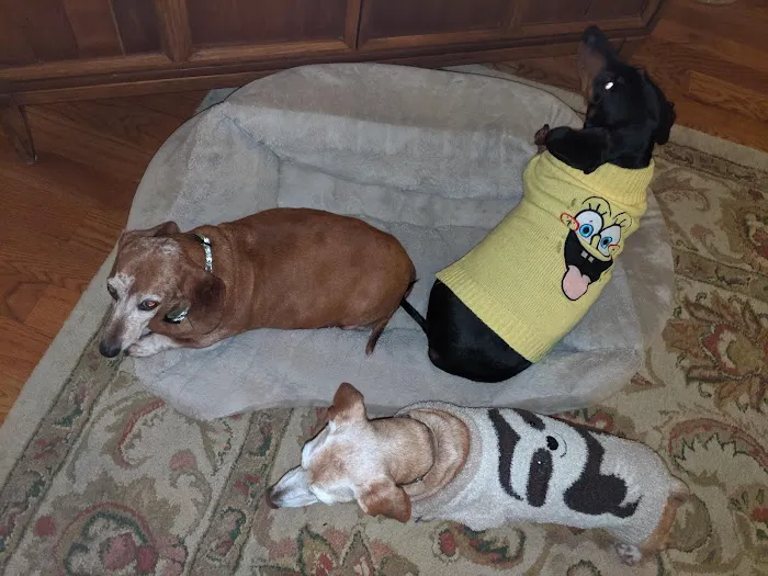Broadway Veterinary Clinic 9