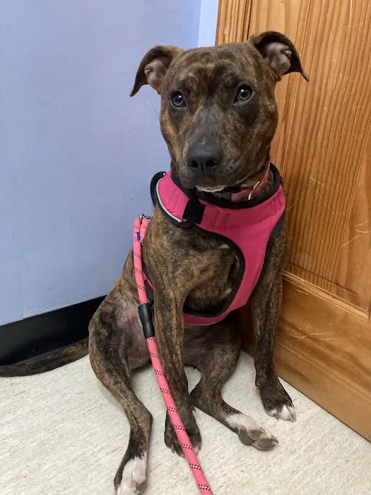 North Knox Veterinary Clinic 9