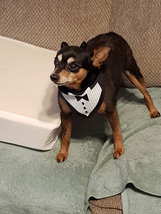 Callahan Drive Animal Hospital 2