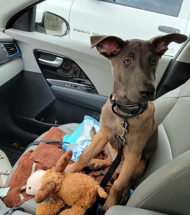 Callahan Drive Animal Hospital 5