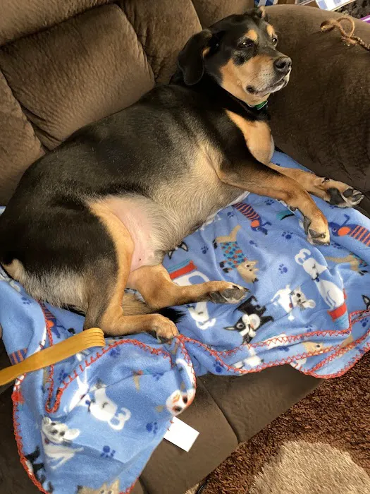 Callahan Drive Animal Hospital 10