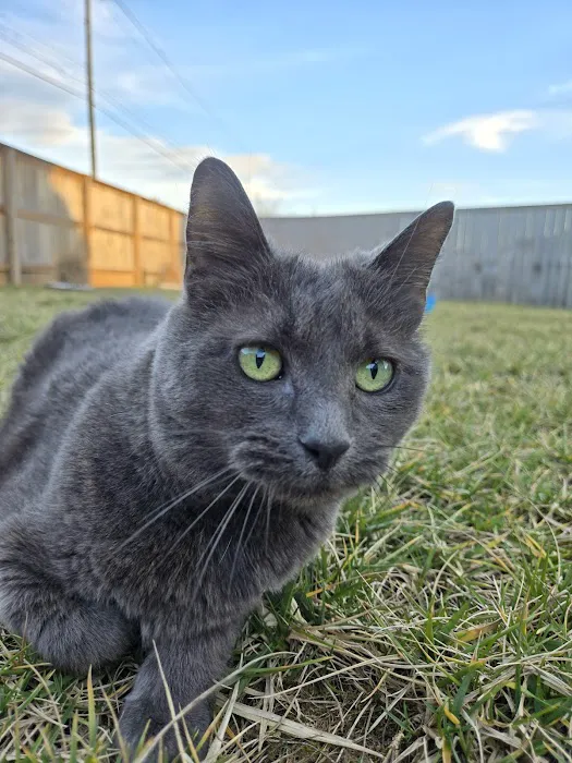 Callahan Drive Animal Hospital 4