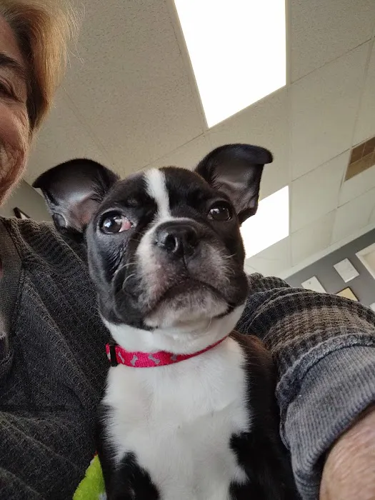 White Pine Veterinary Practice 7
