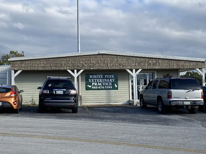 White Pine Veterinary Practice 6