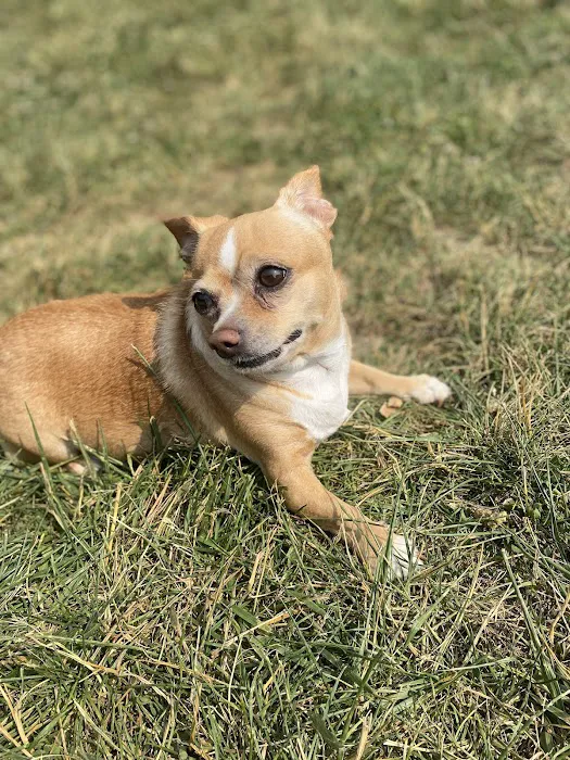 Appalachian Animal Hospital 6