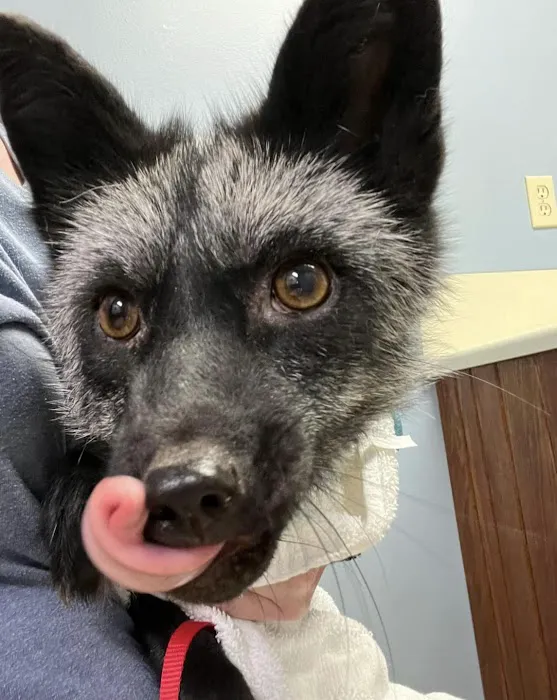 Appalachian Animal Hospital 5