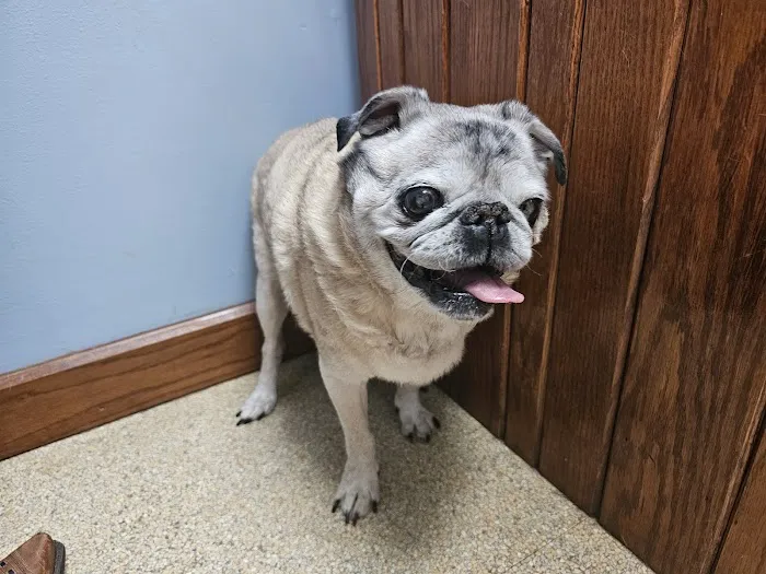 Appalachian Animal Hospital 1