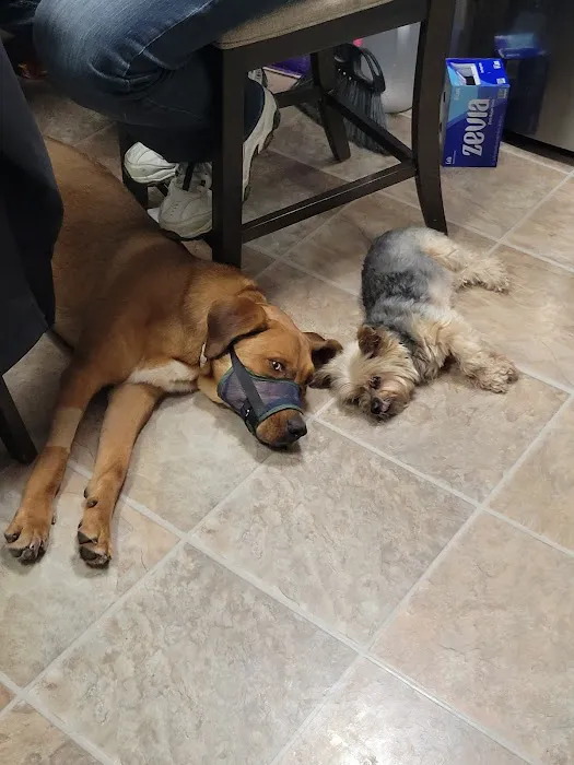 Appalachian Animal Hospital 2