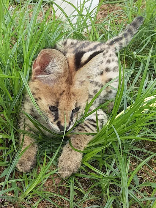 Appalachian Animal Hospital 9