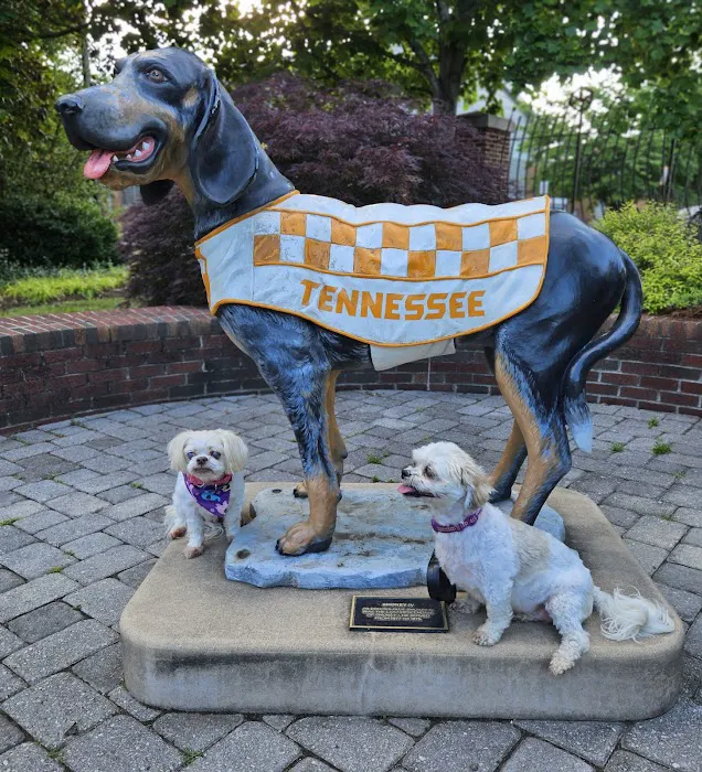 Dandridge Animal Hospital 9