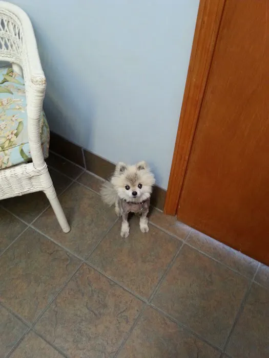 Town & Country Animal Hospital 2