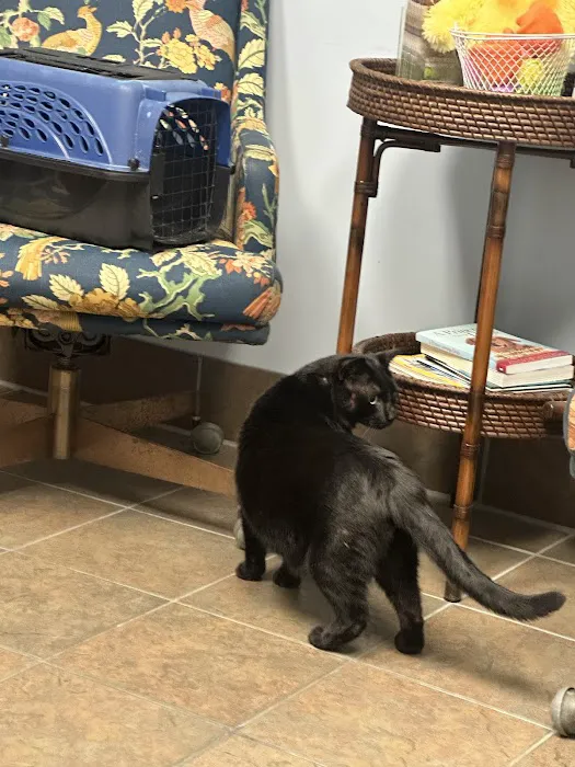 Town & Country Animal Hospital 4